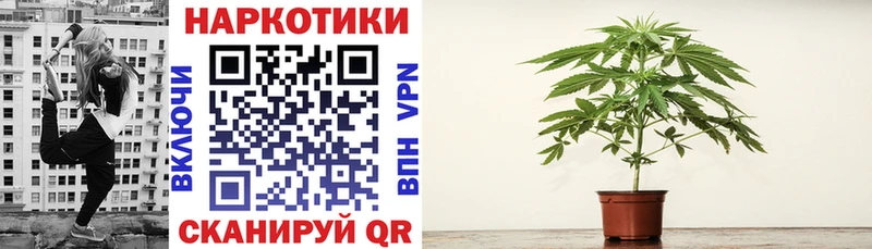 Купить наркотики цена Сковородино Гашиш  Alpha-PVP  Меф  mega ТОР  Кокаин  Марихуана 