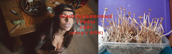 дмт Богородицк