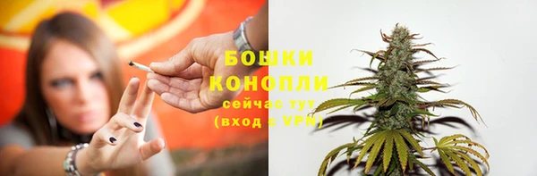 кокаин Богданович