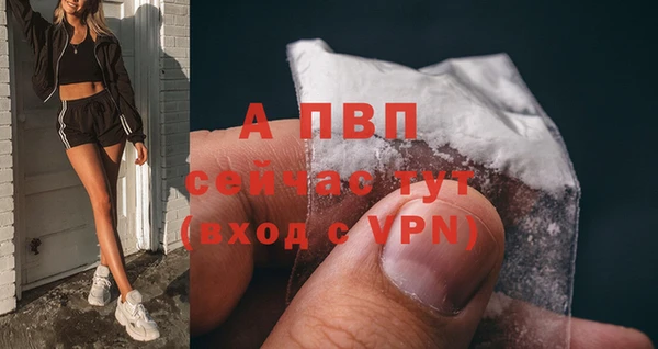 дмт Богородицк