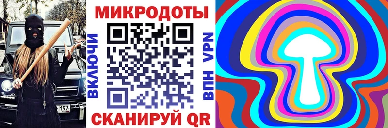 продажа наркотиков  Сковородино  Галлюциногенные грибы Psilocybine cubensis 
