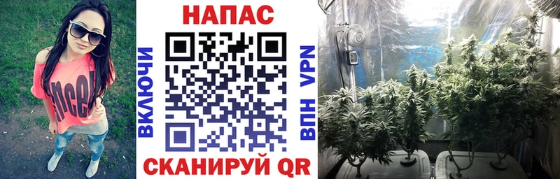 наркошоп  Сковородино  Каннабис гибрид 
